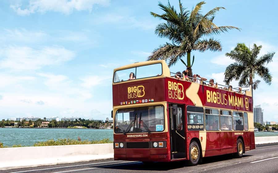 Miami: Hop-on Hop-off Open-top Bus Tour and Optional Cruise - Getting your bearings at Bayside Marketplace