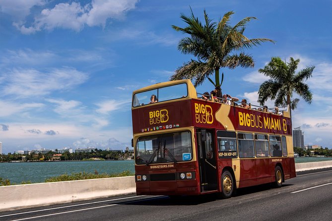 Miami: Hop-on Hop-off Tour + Cruise & Free 1-Hour Bike Rental - Design District and Wynwood deliver the strongest street art