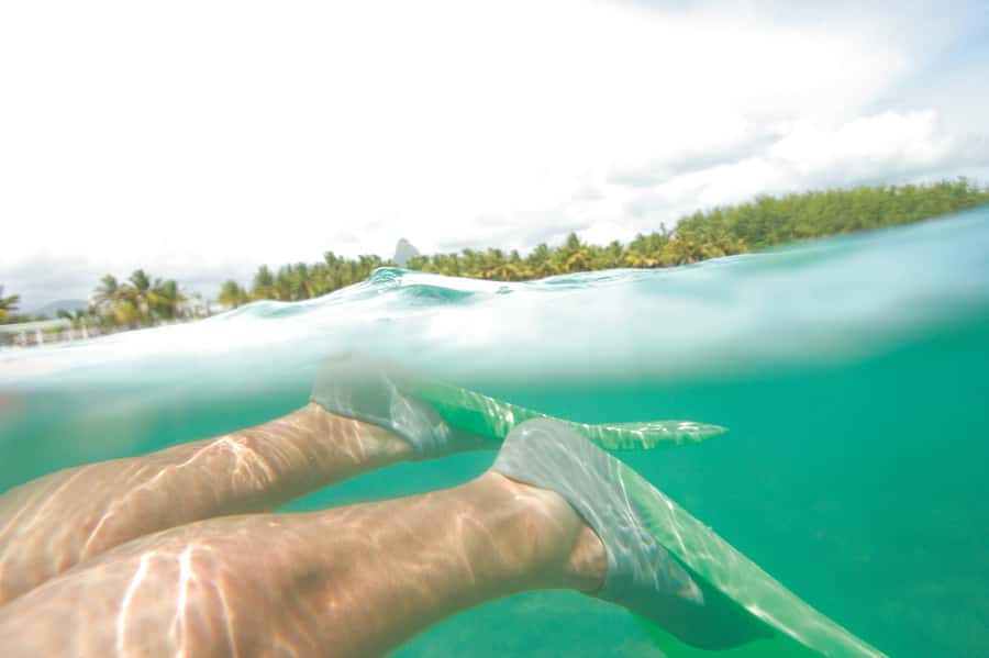 Miami: Key West Dolphin Watch or Snorkel Boat with pickup - Is $63 a fair price?