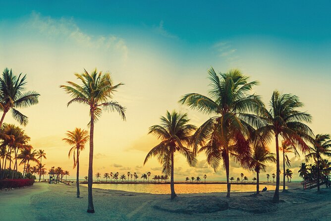 Miami: Open-top Bus Sightseeing Night Tour with Live Guide - Downtown towers and the Miami Heat arena
