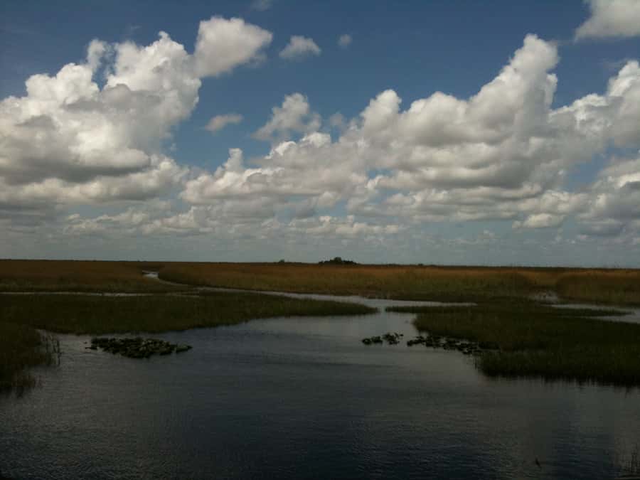 Miami: Original Everglades Airboat Tour & Interpretive area - Quick takeaways