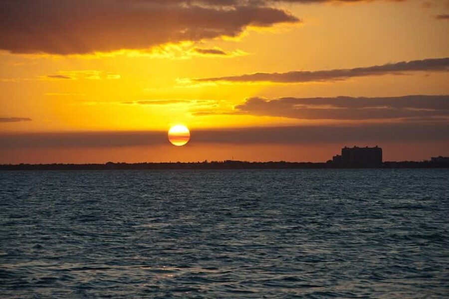 Miami Skyline Sightseeing Cruise and Millionaire Mansions - Seeing Miami from Biscayne Bay