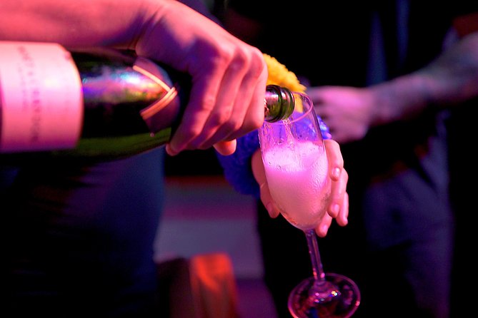 Miami Skyline Views and Biscayne Bay Cruise - Music, drinks, and the social atmosphere