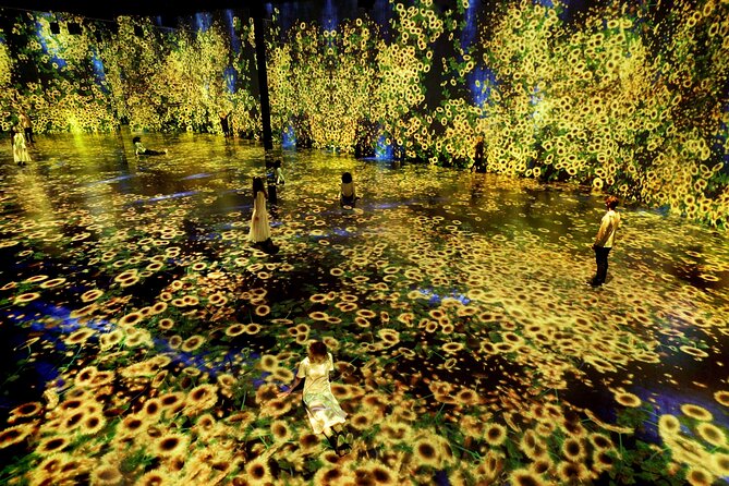 Miami: 'Superblue Miami' Immersive Art Experience Ticket - Digital worlds filled with flowers and waterfalls