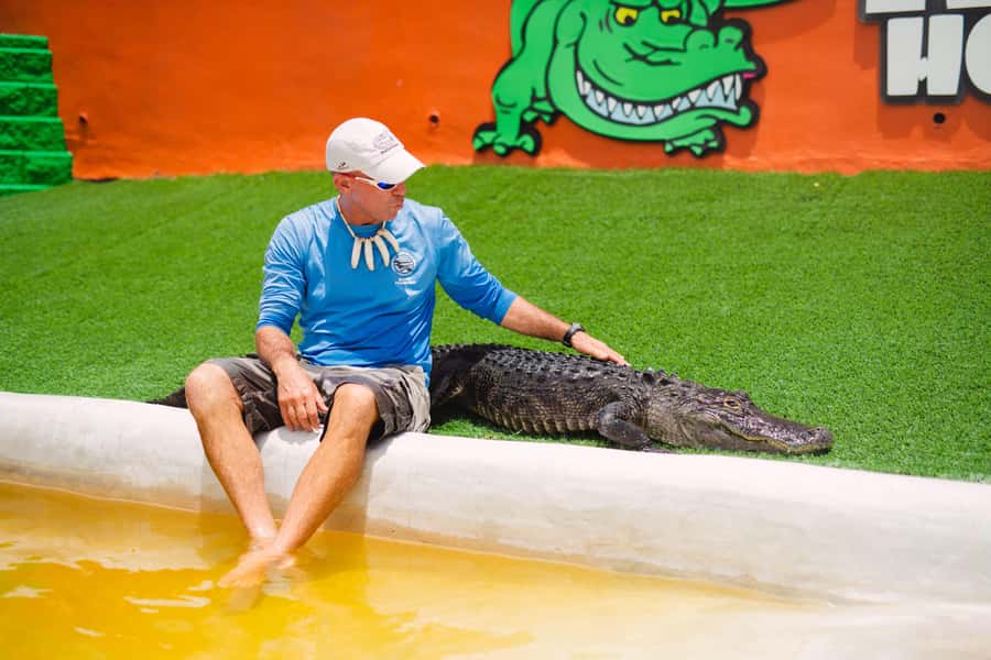 Miami: Wild Everglades Airboat Ride and Gator Encounters - From Miami Beach to the Everglades in 40 minutes
