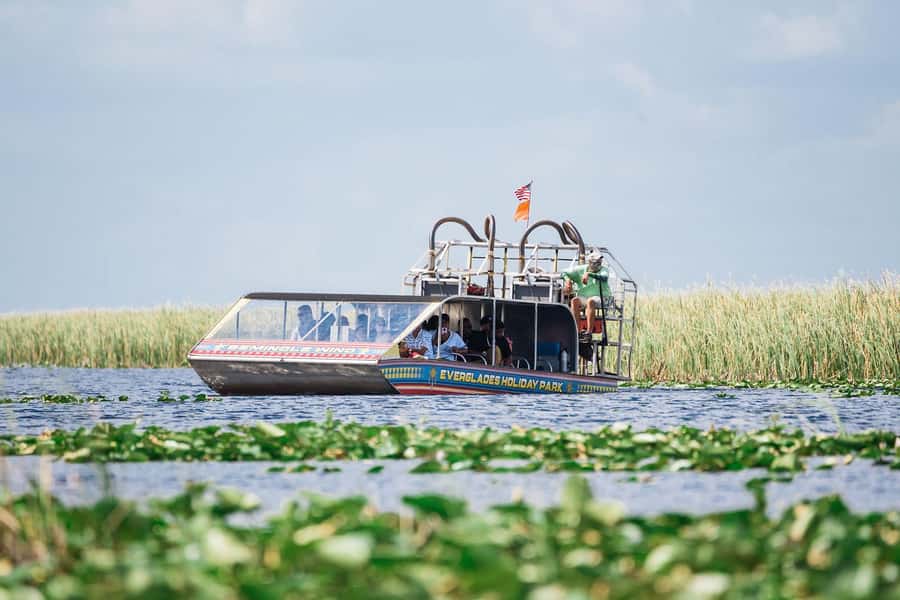 Miami: Wild Everglades Airboat Ride and Gator Encounters - What the one-hour airboat ride is really like