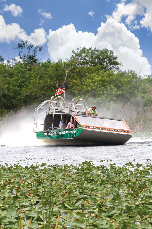 Miami: Wild Everglades Airboat Ride and Gator Encounters - Florida wildlife beyond alligators