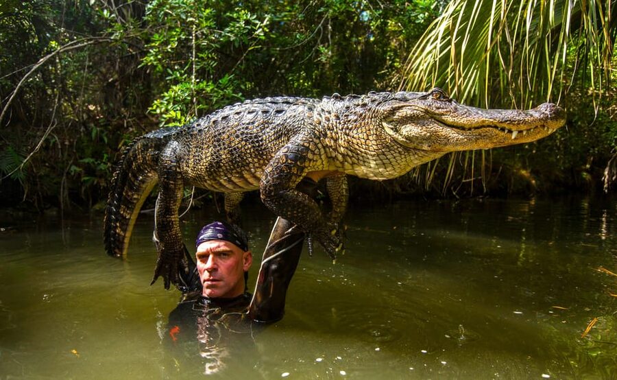 Miami: Wild Everglades Airboat Ride and Gator Encounters - Is $50 a good value?