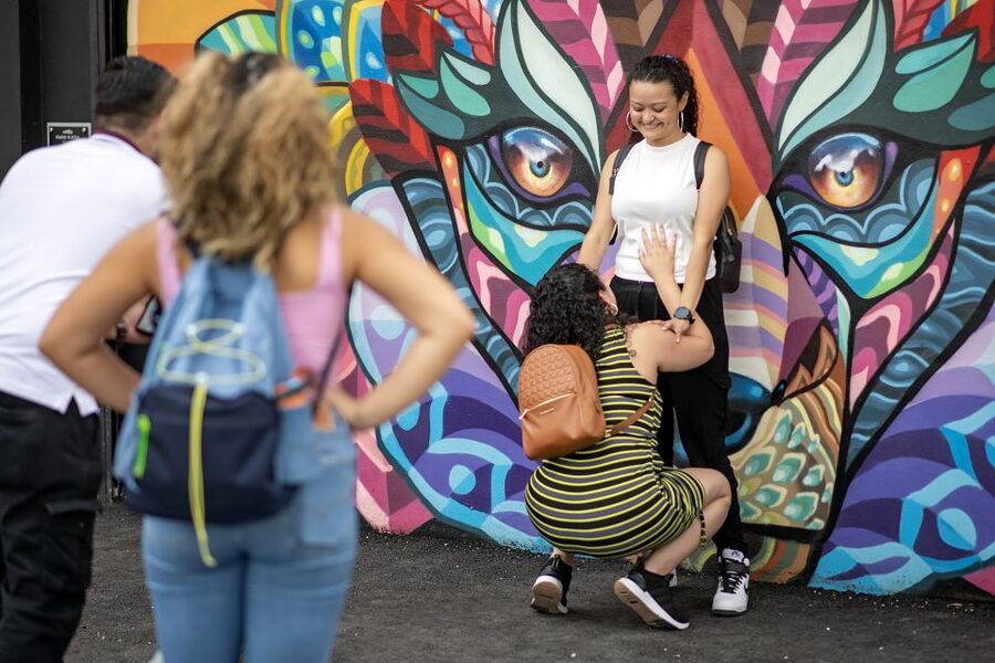 Miami: Wynwood Walls Skip-the-Line Ticket - How the artist codes improve a self-guided visit