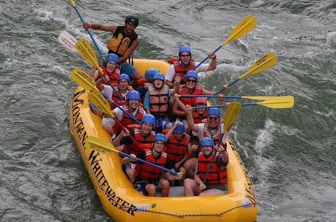 Montana Whitewater Half Day Raft Trip - Yellowstone River - Wildlife and views between the rapids