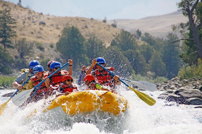 Montana Whitewater Half Day Raft Trip - Yellowstone River - Who will enjoy this most?