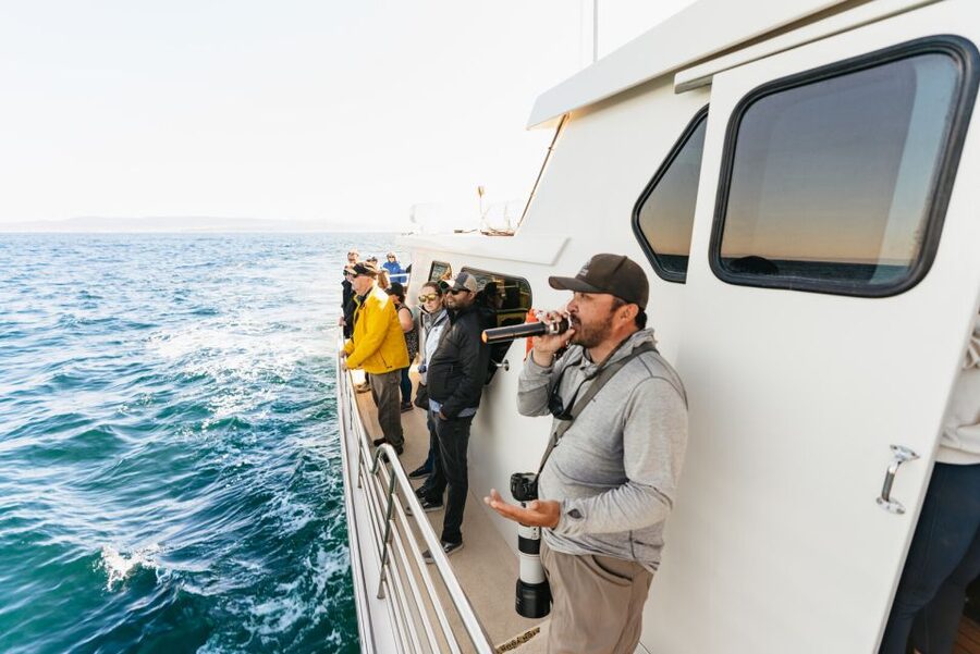 Monterey Bay: Whale Watching Tour - Is $75 a good value?