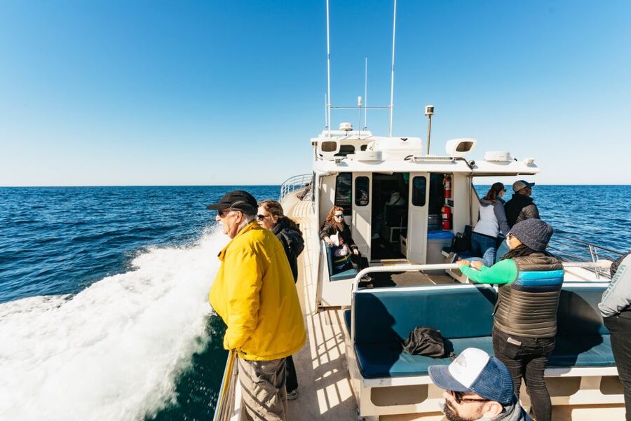 Monterey Bay: Whale Watching Tour - Why Monterey Bay is such a strong whale-watching spot