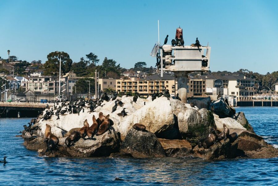 Monterey Bay: Whale Watching Tour - Passing Cannery Row into protected waters