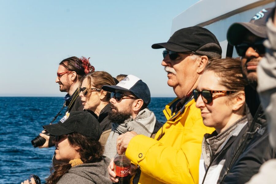 Monterey Bay: Whale Watching Tour - Winter migration and the chance of gray whales
