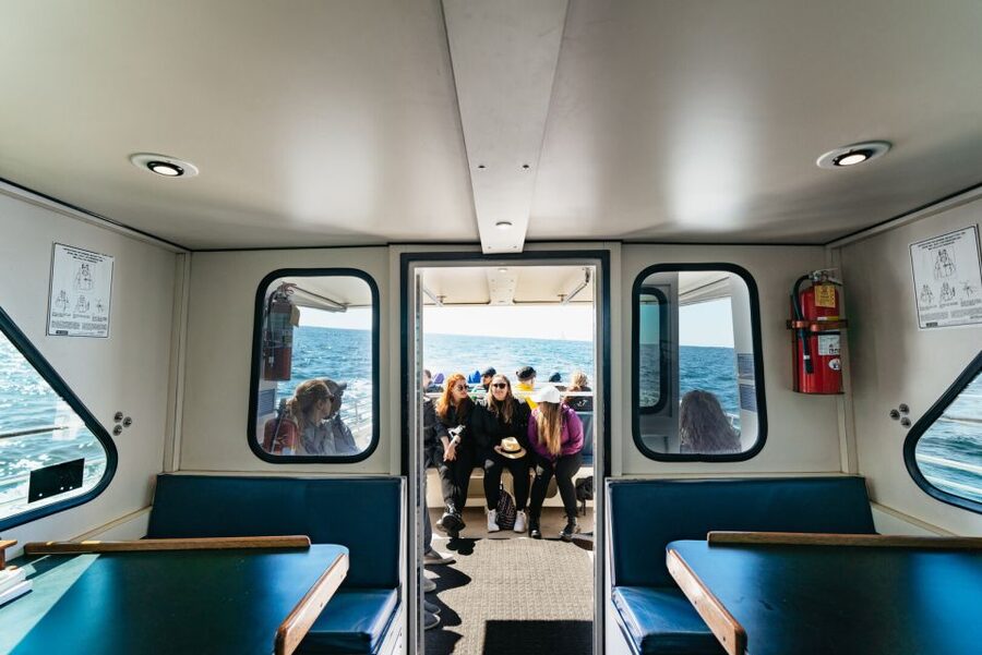 Monterey Bay: Whale Watching Tour - The boat, guide, and onboard comfort