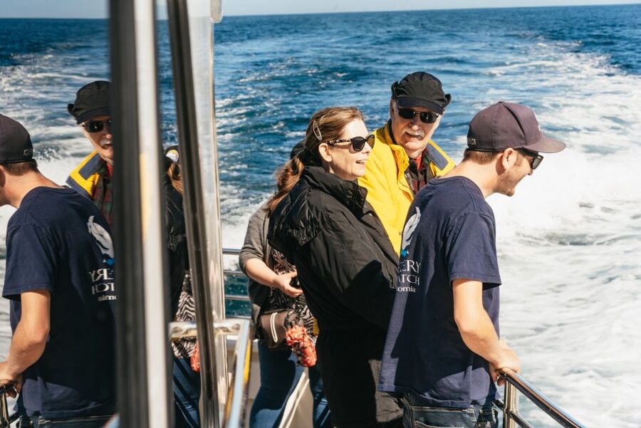 Monterey Bay: Whale Watching Tour - Motion sickness and what to wear