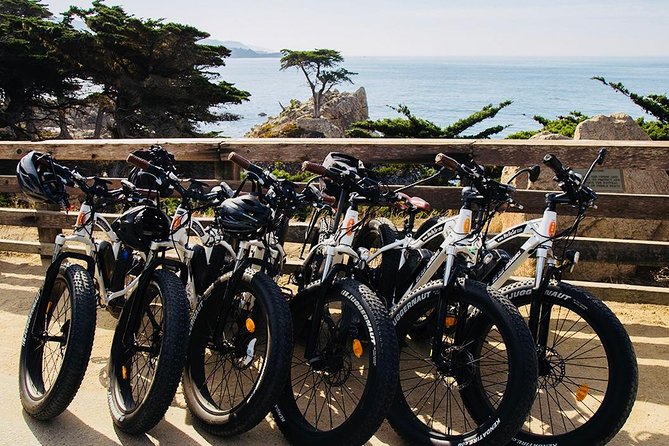 Monterey's 17 Mile Drive Guided Electric Bike Tour, 3 hr - Why a bicycle works better than a car on 17-Mile Drive