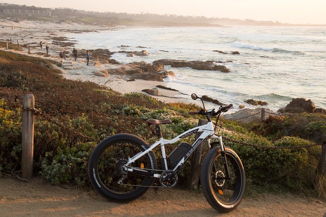 Monterey's 17 Mile Drive Guided Electric Bike Tour, 3 hr - What the guides add to the ride