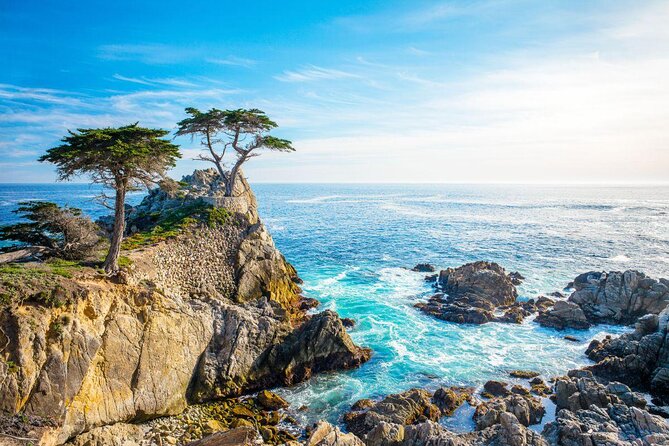 Monterey's 17 Mile Drive Guided Electric Bike Tour, 3 hr - The Pacific Grove coastline warms you up