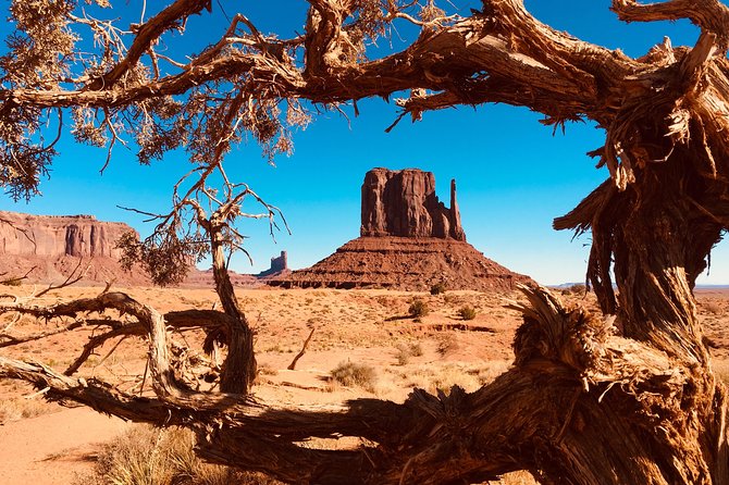 Monument Valley Extended Backcountry Tour - Petroglyphs, ruins, and a longer sense of time