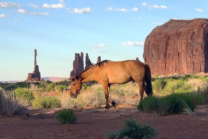 Monument Valley Group Tour - 3 Hours - Navajo Spirit Tours - Restricted areas, arches, and amphitheaters