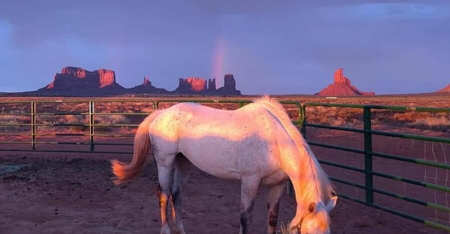 Monument Valley: Horseback Adventure Tour - Key points to know before you ride