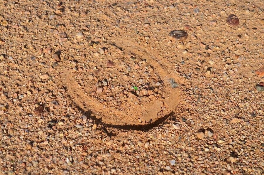 Monument Valley: Horseback Adventure Tour - Small details that make the outing smoother