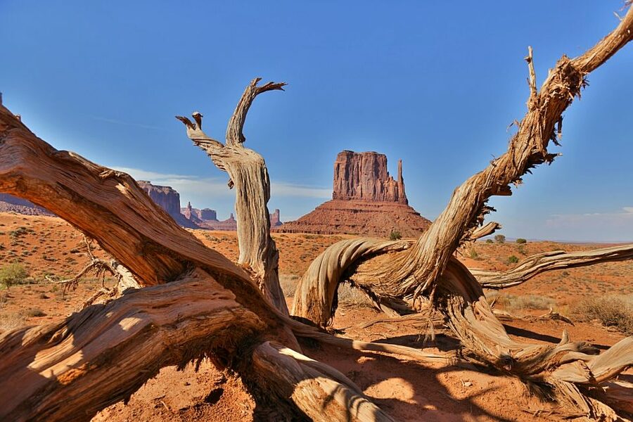 Monument Valley: Scenic 2.5-Hour Guided Tour - What the guides add to the scenery