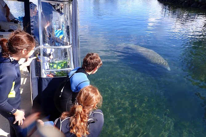 Most Popular 3hr Manatee Swim Tour + In-Water Guide! - Protected habitat at the Crystal River National Wildlife Refuge