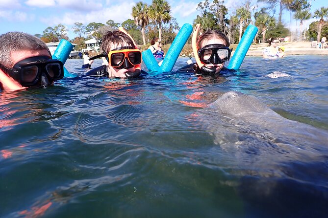 Most Popular 3hr Manatee Swim Tour + In-Water Guide! - What the three-hour duration really means