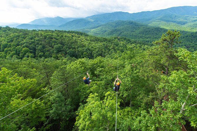 Mountaintop Zipline 2-Hours Activity - Why the views are worth the height