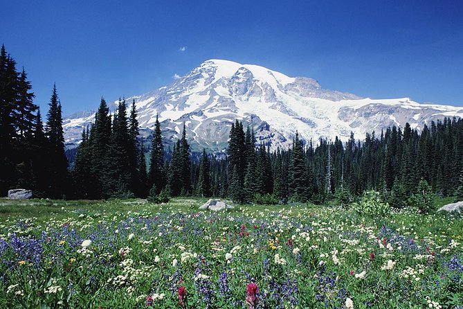 Mt. Rainier Day Tour from Seattle - Why this is one of Seattle’s best nature day trips