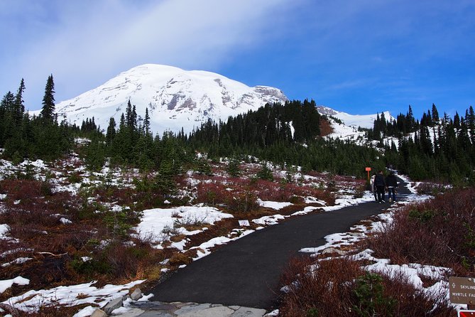 Mt. Rainier Day Tour from Seattle - The Henry M. Jackson Visitor Center and lunch