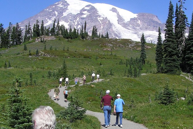 Mt. Rainier Day Tour from Seattle - Reflection Lakes and Tipsoo Lake depend on the calendar