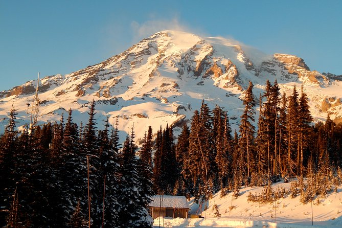 Mt. Rainier National Park Highlights Tour - Key points to know before booking