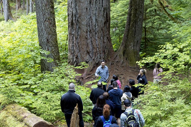 Mt. Rainier National Park Highlights Tour - Paradise at 5,400 feet
