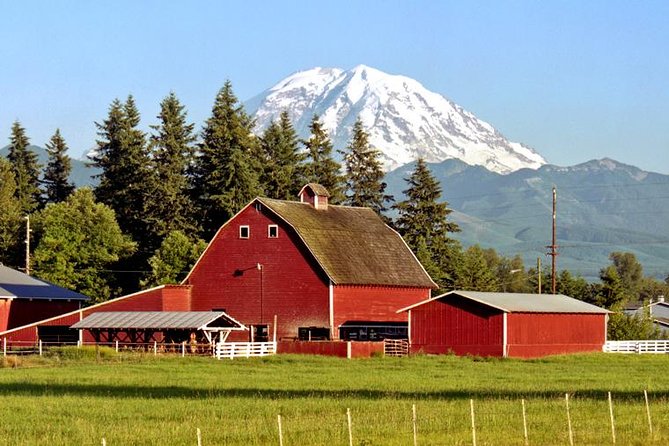 Mt. Rainier National Park Highlights Tour - Twin Firs and the old-growth forest
