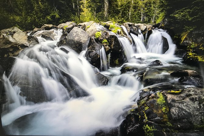 Mt. Rainier National Park Highlights Tour - Reflection Lakes, Sunrise, and Tipsoo Lake