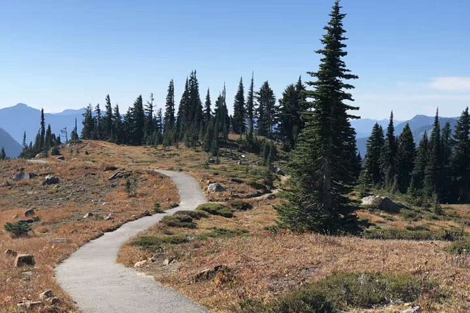 Mt Rainier National Park Small Group Day Tour from Seattle 2CanGo - Why Mount Rainier Works as a Full-Day Trip from Seattle