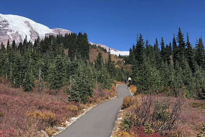 Mt Rainier National Park Small Group Day Tour from Seattle 2CanGo - Paradise Gives You the Main Mountain Experience