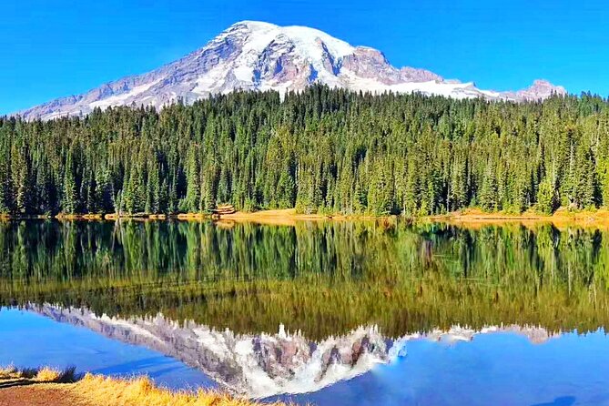 Mt Rainier National Park Small Group Day Tour from Seattle 2CanGo - Winter Means Snow, Flexibility, and Fewer Stops