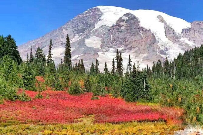 Mt Rainier National Park Small Group Day Tour from Seattle 2CanGo - What the Guide Adds, and Where Service Can Vary