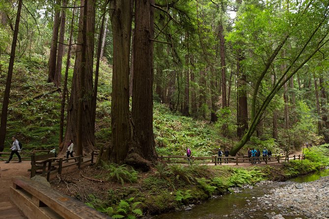 Muir Woods and Sausalito (Return by Bus or Ferry) - Why This Half-Day Combination Works