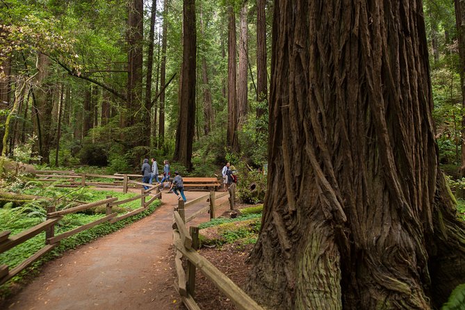 Muir Woods and Sausalito (Return by Bus or Ferry) - Golden Gate North Vista Point: Ten Minutes Well Spent
