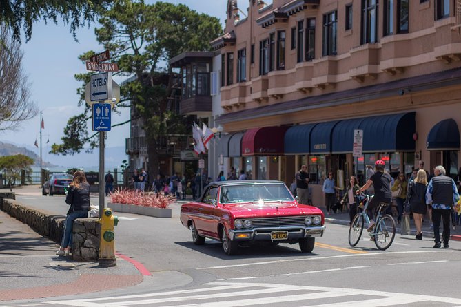 Muir Woods and Sausalito (Return by Bus or Ferry) - Bus or Ferry Back to San Francisco