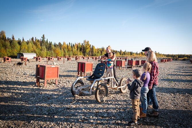 Mush Your Own Sled Dog Team (Summer/Fall Tour) - The guides and the Iditarod connection
