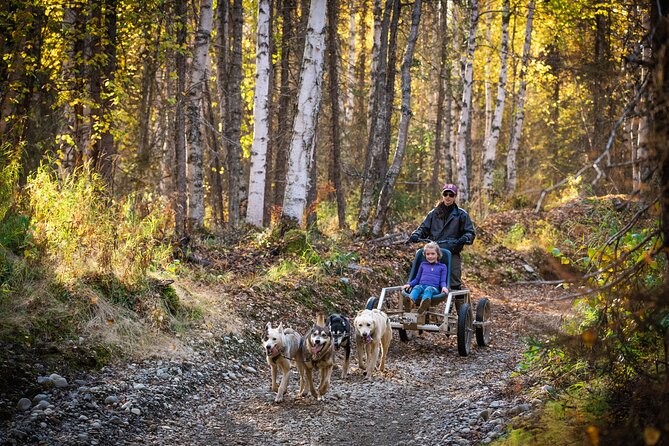 Mush Your Own Sled Dog Team (Summer/Fall Tour) - Is $199 a fair price?