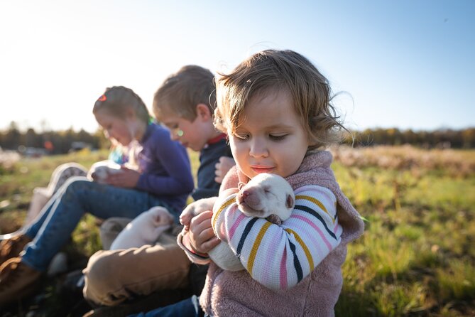 Mush Your Own Sled Dog Team (Summer/Fall Tour) - Weather, clothing, and practical planning