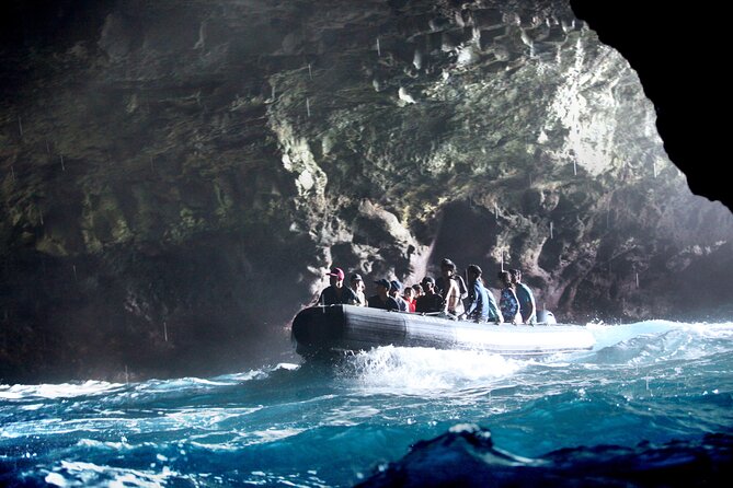 Na Pali Coast Half-Day Raft and Snorkel Adventure - Wildlife watching along the cliffs